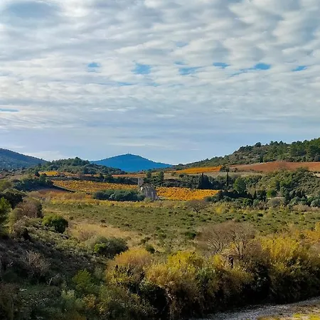 Chaleureux Et Cosy Apartment Portel-des-Corbieres
